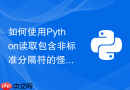 如何使用python读取包含非标准分隔符的怪异格式文本数据?