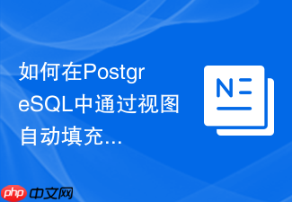 如何在postgresql中通过视图自动填充审计字段