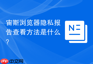 宙斯浏览器隐私报告查看方法是什么？