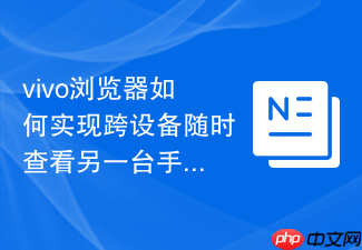 vivo浏览器如何实现跨设备随时查看另一台手机打开的标签页?