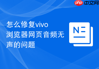 怎么修复vivo浏览器网页音频无声的问题