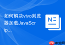 如何解决vivo浏览器加载javascript脚本报错的问题？