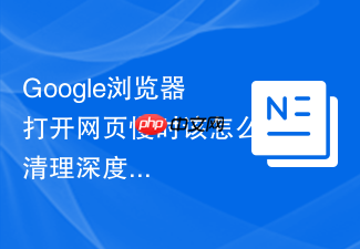 google浏览器打开网页慢时该怎么清理深度缓存?