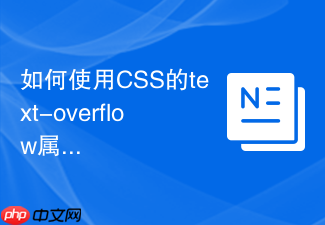 如何使用css的text-overflow属性实现单行文本溢出省略号