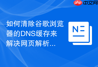 如何清除谷歌浏览器的dns缓存来解决网页解析错误?