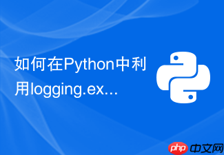 如何在python中利用logging.exception自动记录错误堆栈