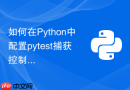 如何在python中配置pytest捕获控制台日志输出