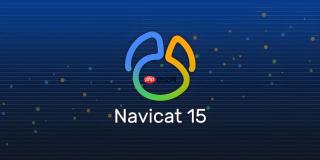 如何在navicat中可视化批量修改勾选的多行记录
