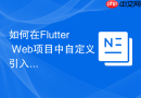 如何在flutter web项目中自定义引入外部css样式