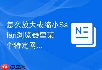 怎么放大或缩小safari浏览器里某个特定网页的字体大小?