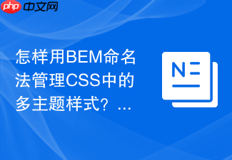 怎样用bem命名法管理css中的多主题样式？
