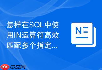怎样在sql中使用in运算符高效匹配多个指定值