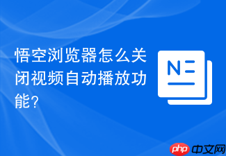 悟空浏览器怎么关闭视频自动播放功能?