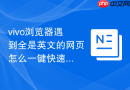 vivo浏览器遇到全是英文的网页怎么一键快速翻译成中文？
