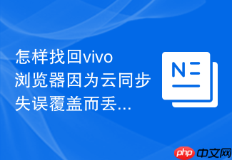 怎样找回vivo浏览器因为云同步失误覆盖而丢失的本地历史书签?