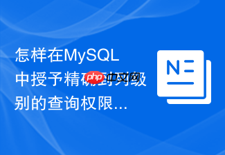 怎样在mysql中授予精确到列级别的查询权限