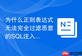 为什么正则表达式无法完全过滤恶意的sql注入语句?