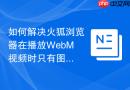 如何解决火狐浏览器在播放webm视频时只有图像没有声音?
