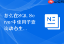 怎么在SQL Server中使用子查询动态生成透视表报表
