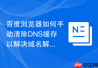 百度浏览器如何手动清除dns缓存以解决域名解析错误?