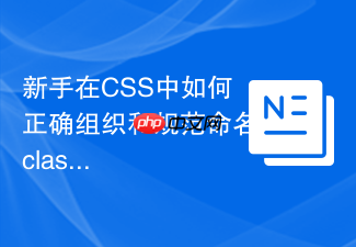 新手在css中如何正确组织和规范命名class类名