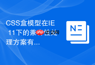css盒模型在ie 11下的兼容性处理方案有哪些?