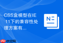 CSS盒模型在IE 11下的兼容性处理方案有哪些？