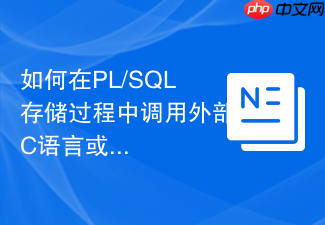 如何在pl/sql存储过程中调用外部c语言或java程序