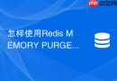 怎样使用Redis MEMORY PURGE强制归还操作系统内存