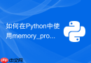 如何在python中使用memory_profiler排查内存泄漏问题？