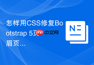 怎样用css修复bootstrap 5页眉页脚的间距问题