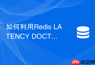 如何利用redis latency doctor诊断系统延迟