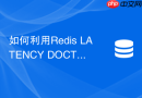 如何利用Redis LATENCY DOCTOR诊断系统延迟
