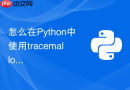 怎么在python中使用tracemalloc追踪深层内存分配来源?