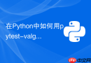 在Python中如何用pytest-valgrind排查内存泄漏