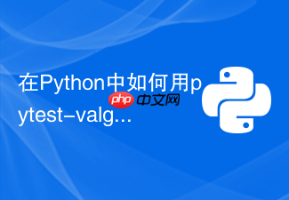 在python中如何用pytest-valgrind排查内存泄漏