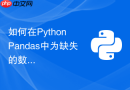 如何在python pandas中为缺失的数据生成唯一自增id列?