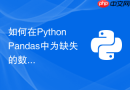 如何在Python Pandas中为缺失的数据生成唯一自增ID列？