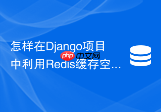 怎样在django项目中利用redis缓存空值防御恶意爬虫穿透?