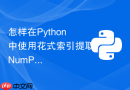 怎样在Python中使用花式索引提取NumPy特定元素