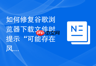 如何修复谷歌浏览器下载文件时提示“可能存在风险”而被拦截?