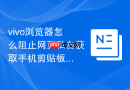 vivo浏览器怎么阻止网页私自获取手机剪贴板的复制内容?
