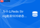 为什么Redis String底层SDS动态字符串比C语言原生字符串快