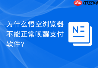 为什么悟空浏览器不能正常唤醒支付软件?