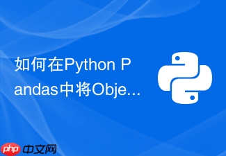 如何在python pandas中将object类型转为category省内存?