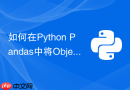 如何在python pandas中将object类型转为category省内存？