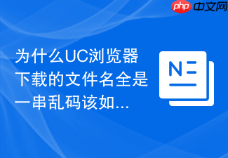 为什么uc浏览器下载的文件名全是一串乱码该如何修复