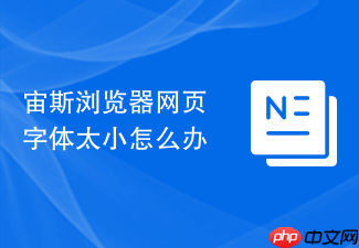 宙斯浏览器网页字体太小怎么办