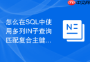 怎么在sql中使用多列in子查询匹配复合主键