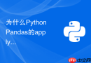 为什么python pandas的apply函数执行很慢及如何优化？